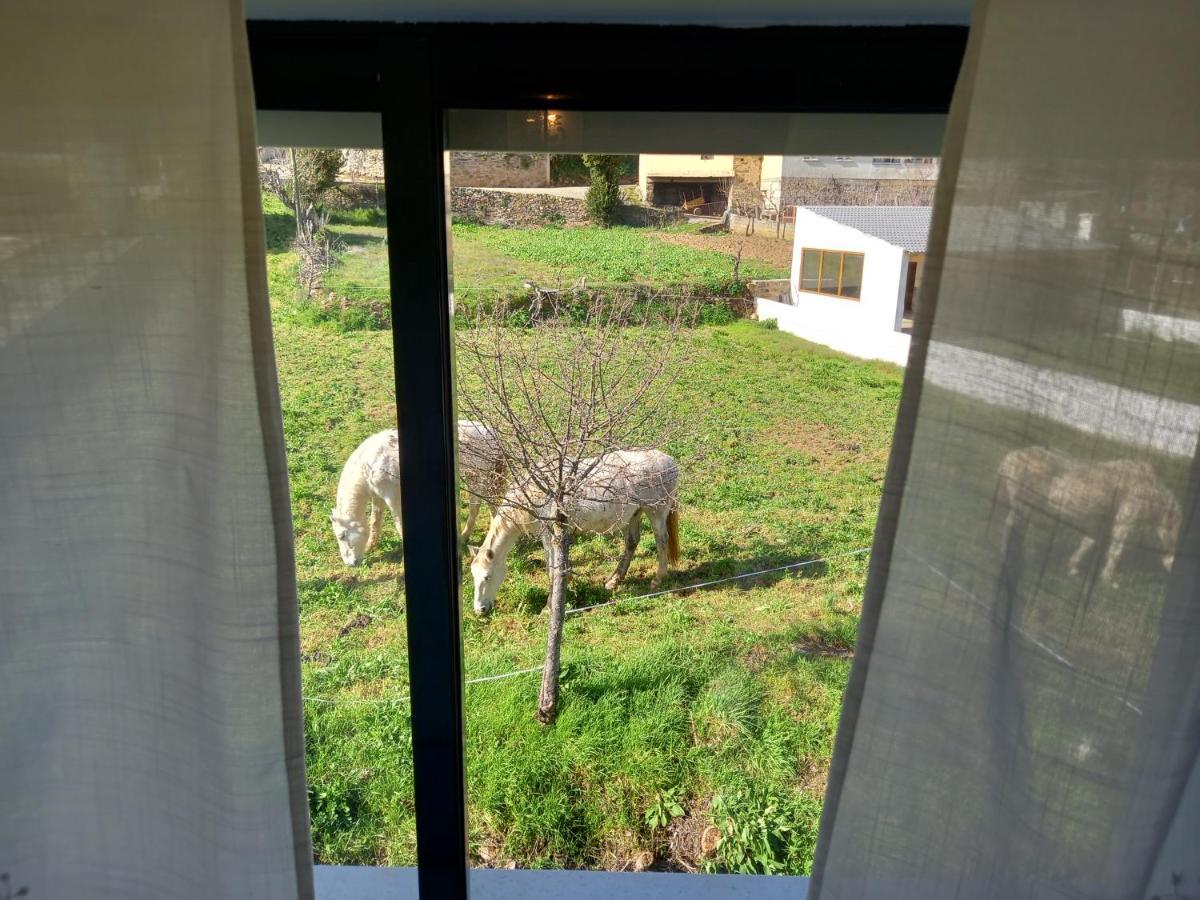 Ferienhaus Casa Da Ribeira Em *